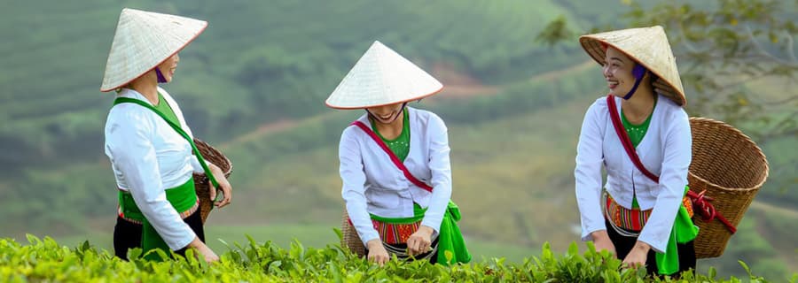 Vietnamese women in traditional dress